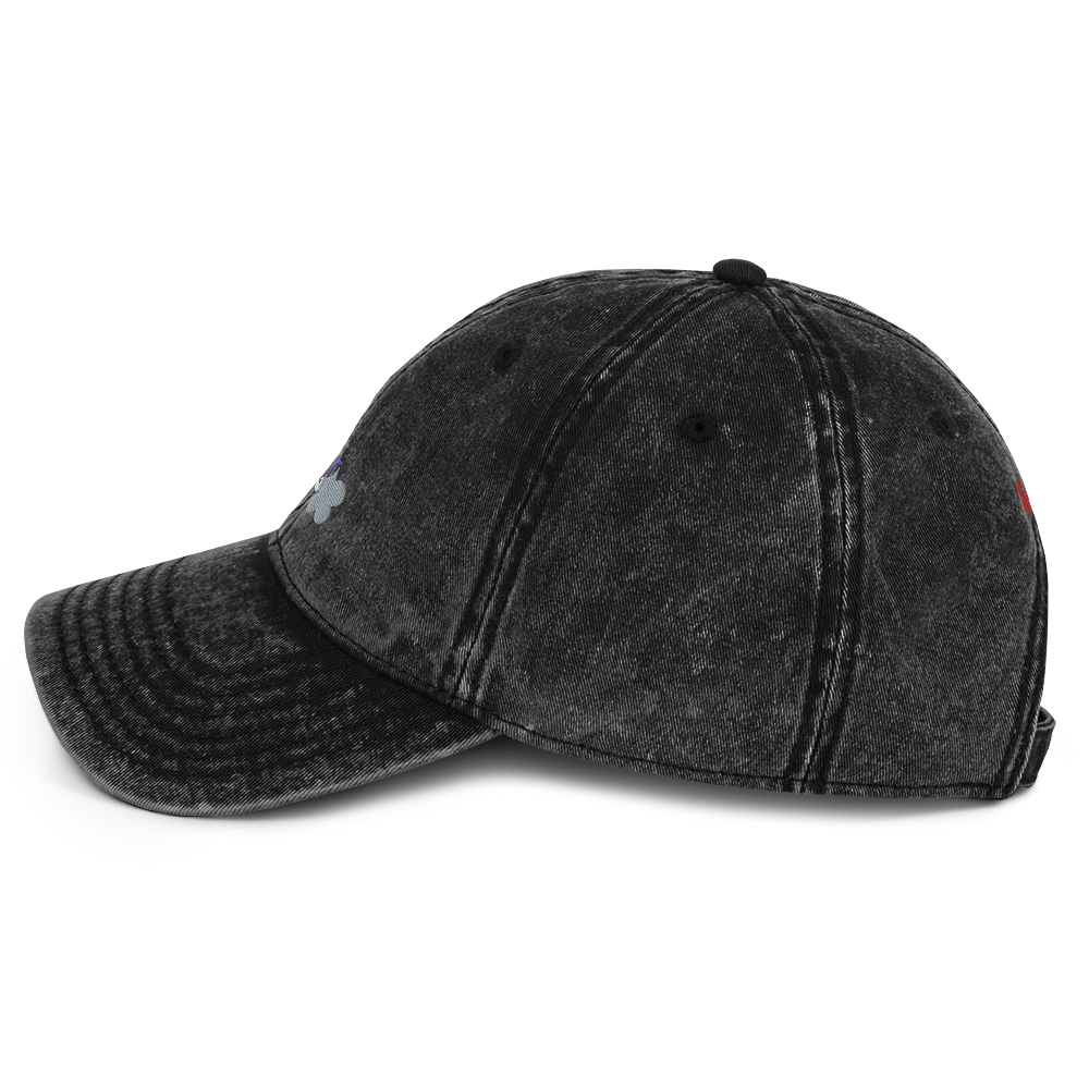 So What? Vintage Cotton Twill Cap